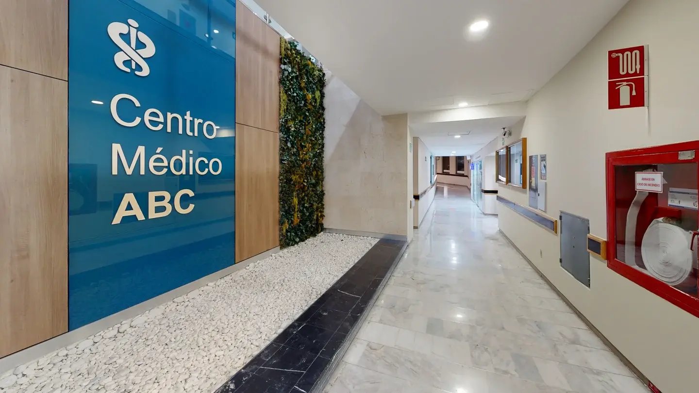 Imagen 13